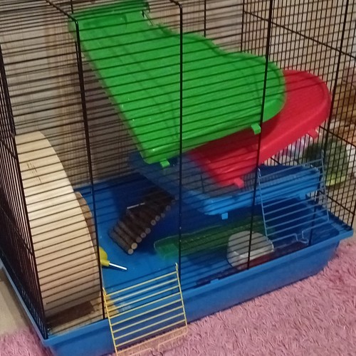 Hamsterkäfig kunststoff - hamsterkäfig, 3