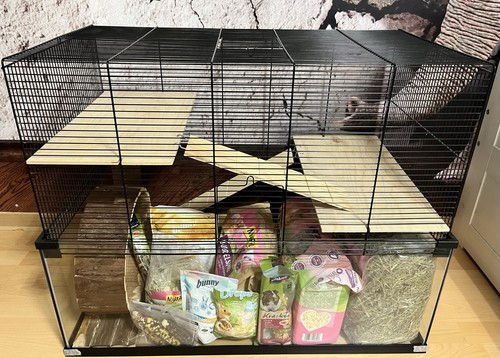 Hamsterkäfig mit zubehör - hamsterkäfig,